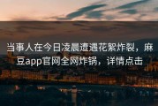 当事人在今日凌晨遭遇花絮炸裂，麻豆app官网全网炸锅，详情点击