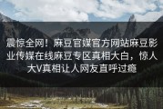 震惊全网！麻豆官媒官方网站麻豆影业传媒在线麻豆专区真相大白，惊人大V真相让人网友直呼过瘾