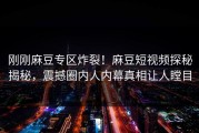 刚刚麻豆专区炸裂！麻豆短视频探秘揭秘，震撼圈内人内幕真相让人瞠目