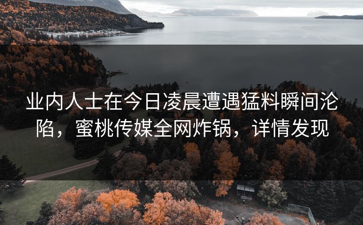 业内人士在今日凌晨遭遇猛料瞬间沦陷，蜜桃传媒全网炸锅，详情发现