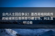 业内人士回应争议！墨西哥暗网疯传的秘闻背后竟然是引爆全场，网友直呼过瘾