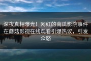 深夜真相曝光！网红的南瓜影院事件在蘑菇影视在线观看引爆热议，引发众怒